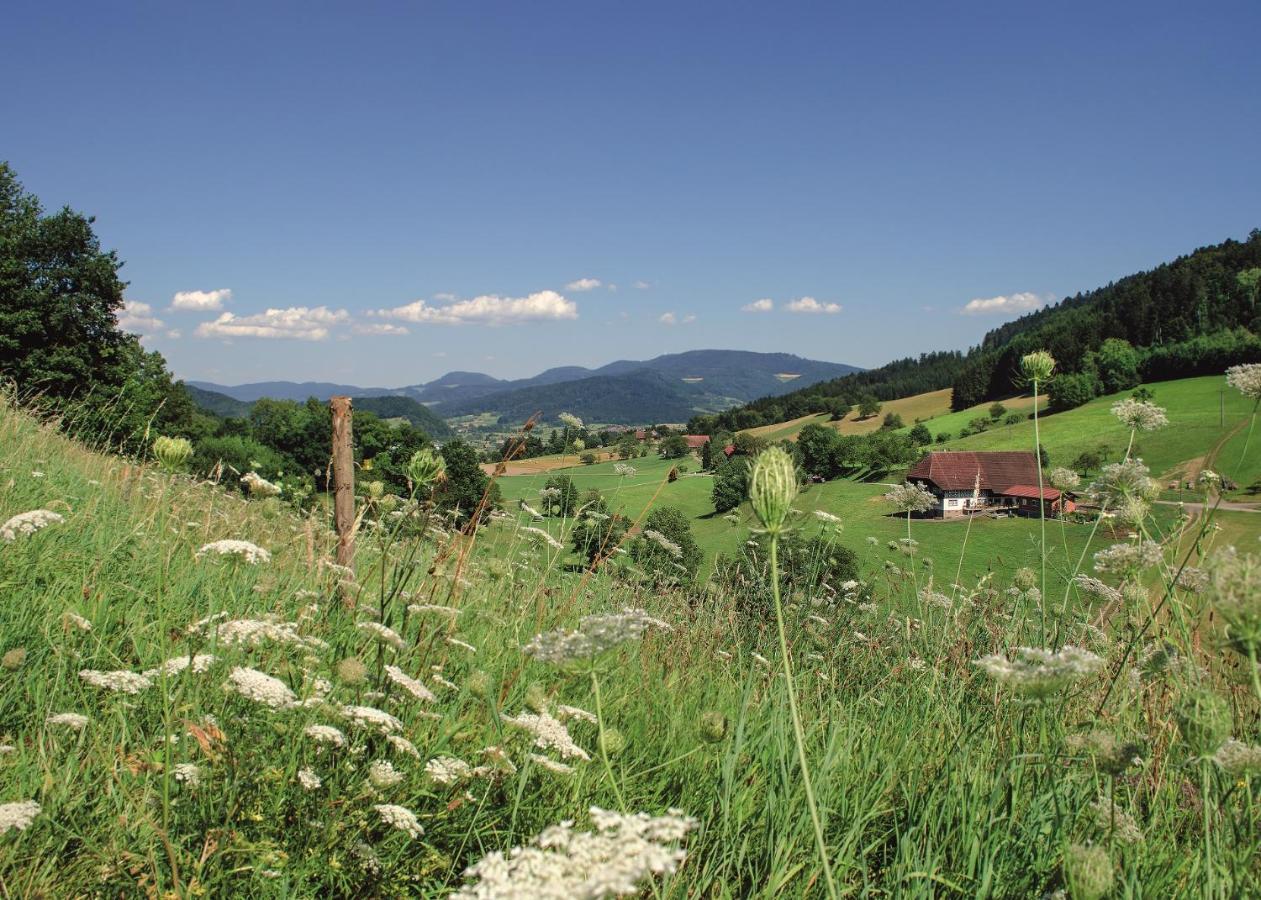 Hotel Badischer Hof บิเบอร์อาคไบออฟเฟนบวร์ก ภายนอก รูปภาพ